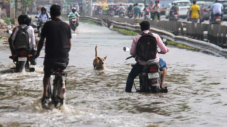 Heavy Rain Batters North India, Claims Many Lives: House Roof Collapses, Park Turns Into Pond, Vehicle Swept Away Heavy Rain Batters North India, Claims Many Lives: House Roof Collapses, Park Turns Into Pond, Vehicle Swept Away