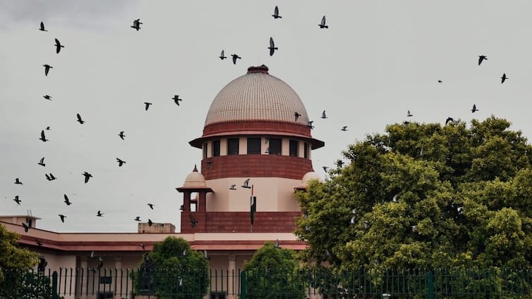 Supreme Court Reacts After Man Threatens Suicide In Court Makes PM Modi Judges Parties In Case Man Makes PM Modi & Judges Parties In Plea, Threatens Suicide. Supreme Court Reacts