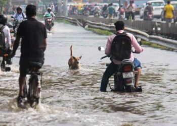 Heavy Rain Batters North India, Claims Many Lives: House Roof Collapses, Park Turns Into Pond, Vehicle Swept Away Heavy Rain Batters North India, Claims Many Lives: House Roof Collapses, Park Turns Into Pond, Vehicle Swept Away