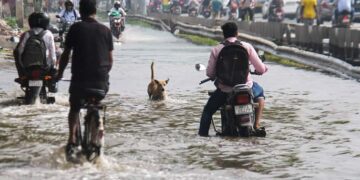 Heavy Rain Batters North India, Claims Many Lives: House Roof Collapses, Park Turns Into Pond, Vehicle Swept Away Heavy Rain Batters North India, Claims Many Lives: House Roof Collapses, Park Turns Into Pond, Vehicle Swept Away