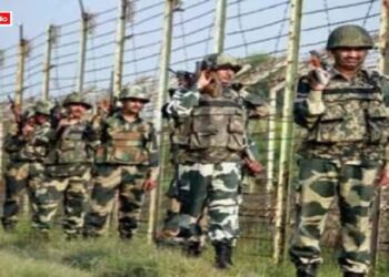 Centre Removes BSF Chief Nitin Agrawal Deputy