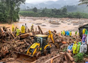 Wayanad Landslides: BJP Turns Down Rahul Gandhi