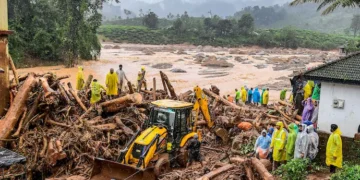 Wayanad Landslides: BJP Turns Down Rahul Gandhi