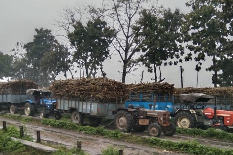 गन्ने की अनुपलब्धता के कारण यूपी, उत्तराखंड में चीनी मिलें जल्दी बंद होने लगीं