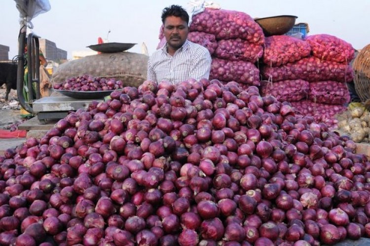 गुजरात, महाराष्ट्र की राजनीति में उलझा प्याज, निर्यात छूट के ऐलान पर संशय