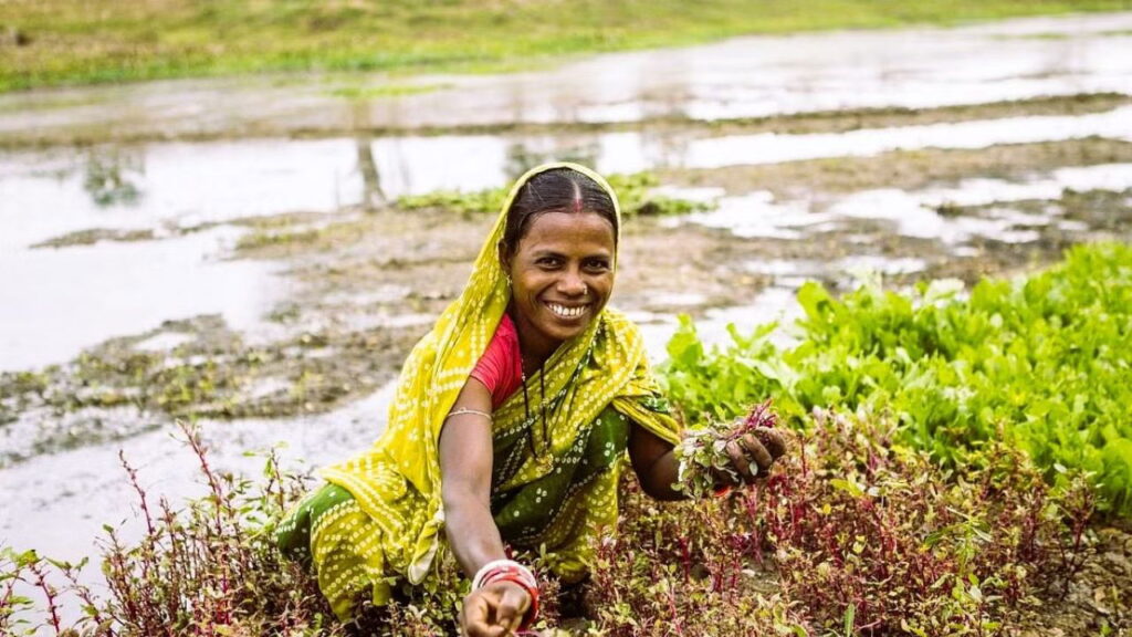 पीएम किसान योजना: भाजपा के घोषणापत्र में जम्मू-कश्मीर के किसानों को 10,000 रुपये देने का वादा