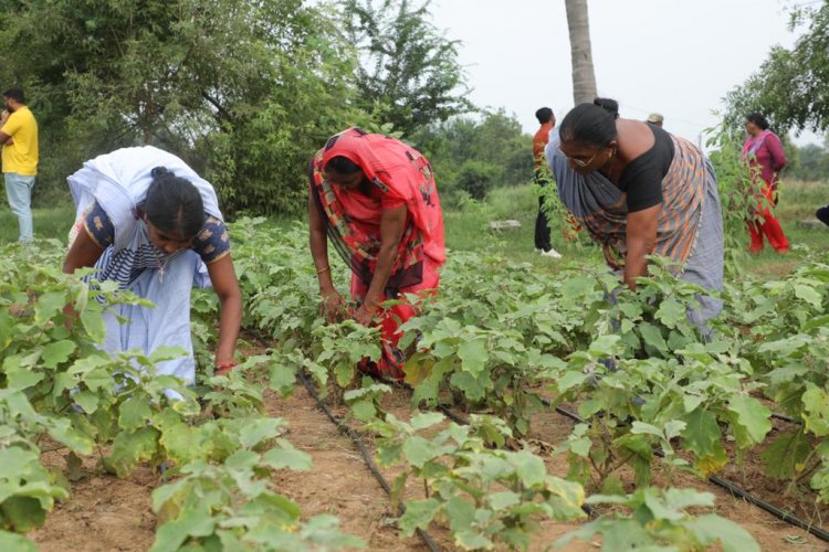 स्पोवडी ने स्मार्ट फार्मिंग को बढ़ावा देने के लिए दुनिया के सबसे बड़े स्वरोजगार महिला समूह सेवा के साथ सहयोग किया