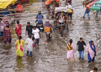 IMD ने बिहार के इन 6 जिलों में भारी बारिश की आशंका जताई है। आंधी-तूफान और बिजली गिरने की भी आशंका