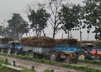 गन्ने की अनुपलब्धता के कारण यूपी, उत्तराखंड में चीनी मिलें जल्दी बंद होने लगीं