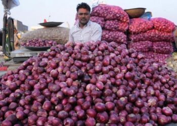 गुजरात, महाराष्ट्र की राजनीति में उलझा प्याज, निर्यात छूट के ऐलान पर संशय