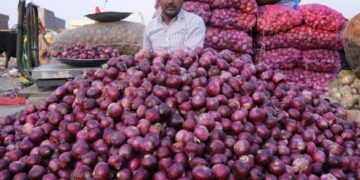 गुजरात, महाराष्ट्र की राजनीति में उलझा प्याज, निर्यात छूट के ऐलान पर संशय