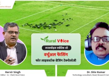 ग्रामीण आवाज़ विशेष: आभासी बाड़ लगाना खुले में मवेशियों के प्रबंधन के लिए आधुनिक तकनीक है; यह कैसे काम करती है, इसकी जानकारी