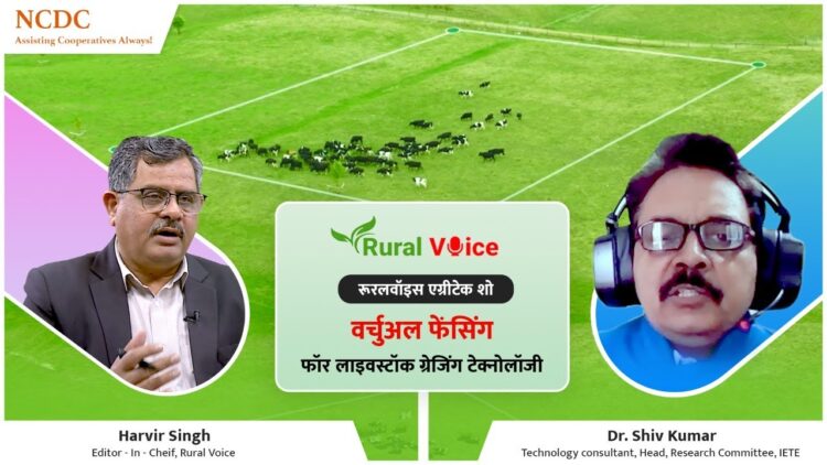 ग्रामीण आवाज़ विशेष: आभासी बाड़ लगाना खुले में मवेशियों के प्रबंधन के लिए आधुनिक तकनीक है; यह कैसे काम करती है, इसकी जानकारी