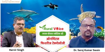 ग्रामीण आवाज़ विशेष: सजावटी मछली पालन और इससे आप कितनी कमाई कर सकते हैं