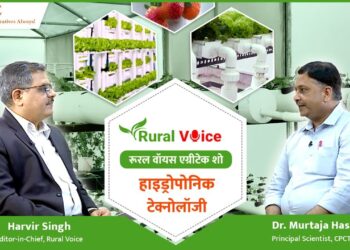 ग्रामीण आवाज़ विशेष: हाइड्रोपोनिक्स से खेती में पैदावार 20-25 गुना तक बढ़ जाएगी