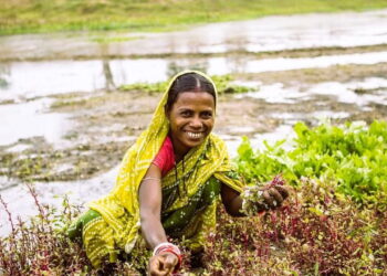 पीएम किसान योजना: भाजपा के घोषणापत्र में जम्मू-कश्मीर के किसानों को 10,000 रुपये देने का वादा