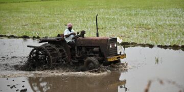 मानसून के फिर से सक्रिय होने पर किसान ग्रीष्मकालीन फसलें बोने में जुट गए हैं