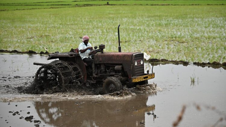 मानसून के फिर से सक्रिय होने पर किसान ग्रीष्मकालीन फसलें बोने में जुट गए हैं