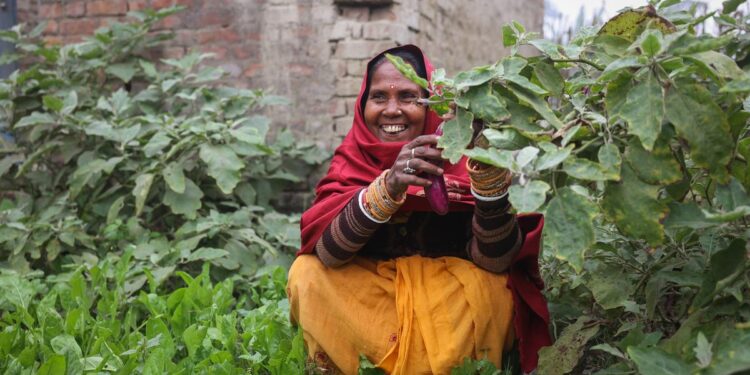 मुजफ्फरपुर में बकरी डॉक्टर सब्जी उद्यमी बन गए