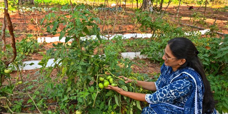 विशाखापत्तनम में आंध्र विश्वविद्यालय में बंजर भूमि पर एक प्राकृतिक फार्म