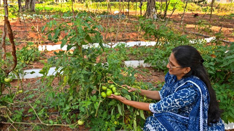 विशाखापत्तनम में आंध्र विश्वविद्यालय में बंजर भूमि पर एक प्राकृतिक फार्म