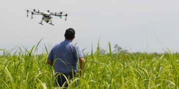 वॉलमार्ट फाउंडेशन ने 300,000 से अधिक किसानों को उन्नत तकनीकी समाधानों से सशक्त बनाने के लिए 2.78 मिलियन डॉलर का अनुदान दिया