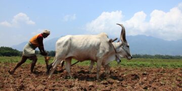 शोध पत्र में उचित अध्ययन के बिना देश भर में प्राकृतिक खेती अपनाने के खिलाफ चेतावनी दी गई है