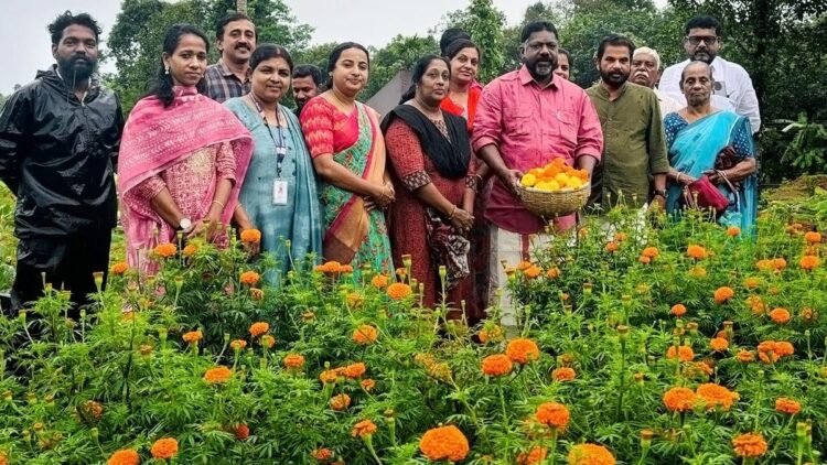 सब्जी की खेती का गांव पीले और नारंगी रंग के जीवंत समुद्र में बदल गया