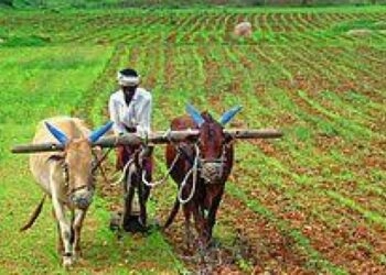 समुन्नति ने धन एकत्र करने और भारत के छोटे किसानों का बीमा करने के लिए अन्नदाता सुरक्षा अभियान शुरू किया