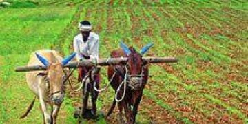 समुन्नति ने धन एकत्र करने और भारत के छोटे किसानों का बीमा करने के लिए अन्नदाता सुरक्षा अभियान शुरू किया