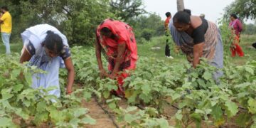 स्पोवडी ने स्मार्ट फार्मिंग को बढ़ावा देने के लिए दुनिया के सबसे बड़े स्वरोजगार महिला समूह सेवा के साथ सहयोग किया