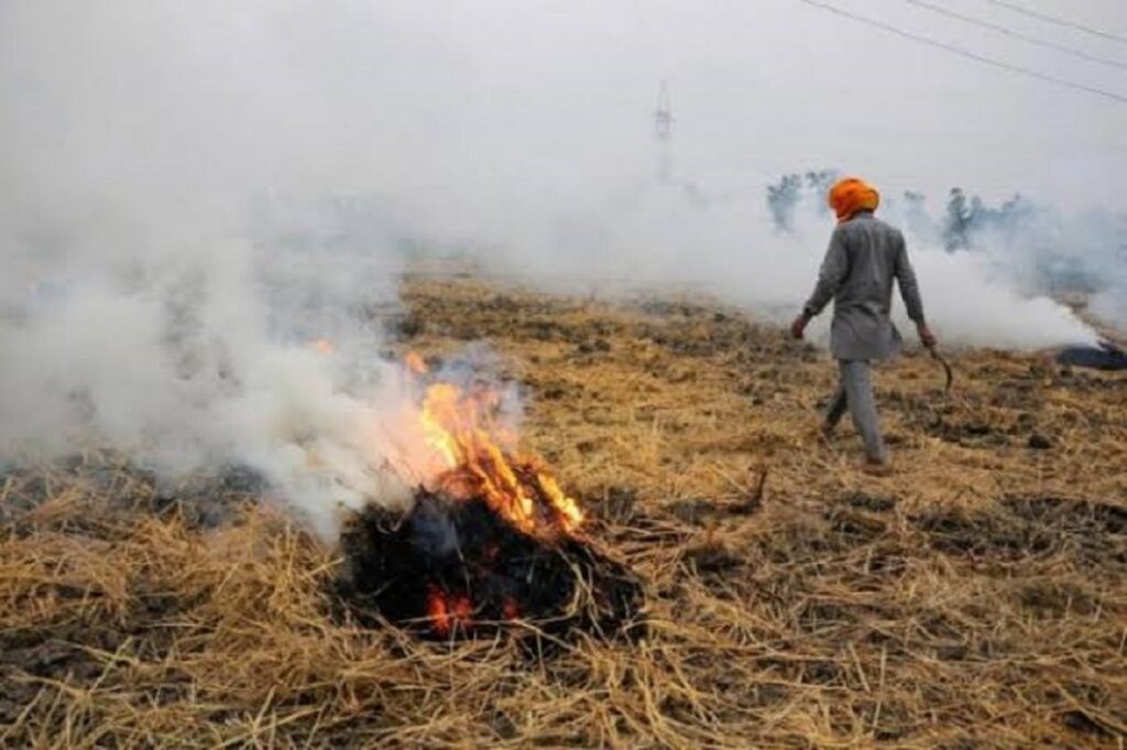 दिल्ली वायु प्रदूषण पर सुप्रीम कोर्ट ने पंजाब, हरियाणा को लगाई फटकार: 'आदेशों का पालन क्यों नहीं किया गया? तुम्हें एक सप्ताह का समय दे रहा हूँ'