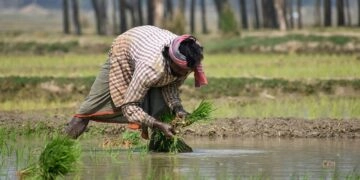 GAFSP ने छोटे किसानों और कृषि-स्टार्टअप को समर्थन देने के लिए $75 मिलियन का फंड लॉन्च किया