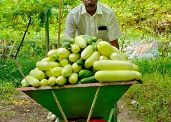 एक दृष्टि खोने के बाद, बढ़ई ने खेती में सफलता की कहानी लिखने के लिए बाधाओं पर विजय प्राप्त की