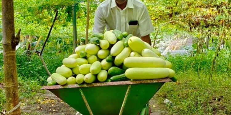 एक दृष्टि खोने के बाद, बढ़ई ने खेती में सफलता की कहानी लिखने के लिए बाधाओं पर विजय प्राप्त की