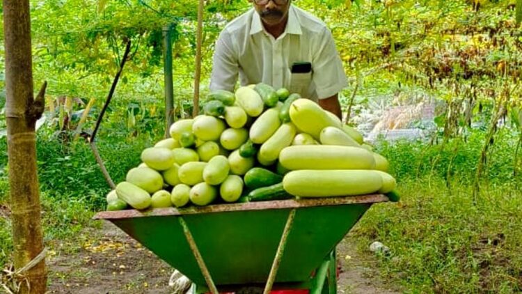 एक दृष्टि खोने के बाद, बढ़ई ने खेती में सफलता की कहानी लिखने के लिए बाधाओं पर विजय प्राप्त की