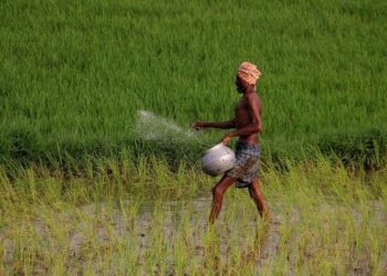 भारत में गरीब किसानों पर जलवायु परिवर्तन का प्रभाव अधिक गंभीर: एफएओ रिपोर्ट