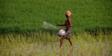 भारत में गरीब किसानों पर जलवायु परिवर्तन का प्रभाव अधिक गंभीर: एफएओ रिपोर्ट