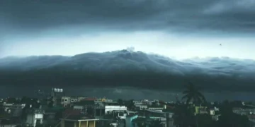 भारी बारिश, पेड़ उखड़ गए, हिंसक लहरें, चक्रवात दाना के भूस्खलन के कारण सड़कें अवरुद्ध, नवीनतम ओडिशा, पश्चिम बंगाल अपडेट देखें