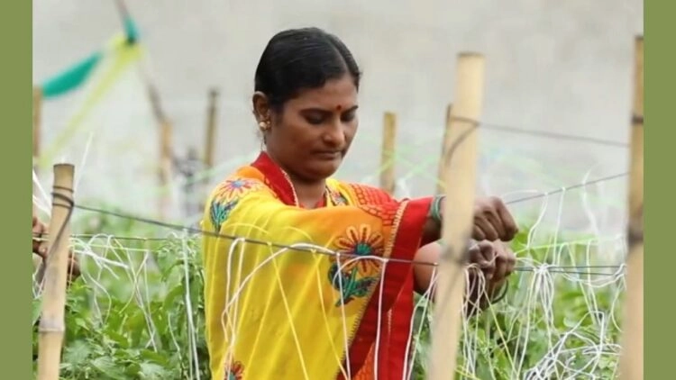 विश्व मानसिक स्वास्थ्य दिवस: कैसे प्राकृतिक खेती ने मंगला वाघमारे को सालाना लाखों कमाने में मदद की