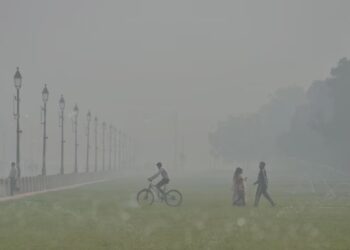 दिल्ली: AQI 460 के पार होने पर GRAP-IV प्रतिबंध सोमवार से लागू होंगे जानिए ताजा पाबंदियां