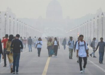 दिल्ली का AQI 500 के पार: गंभीर जटिलताओं से दूर रहने के लिए ये आयुर्वेदिक उपाय अपनाएं