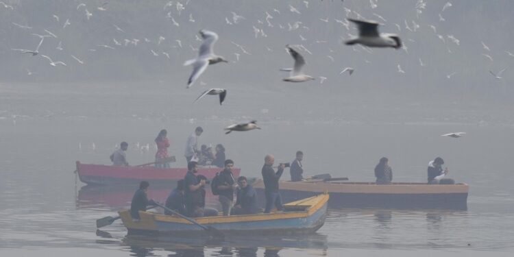 दिल्ली में वायु प्रदूषण की स्थिति बदतर: AQI सीजन के सबसे खराब स्तर 481 पर पहुंचा, GRAP-IV प्रतिबंध लगाए गए