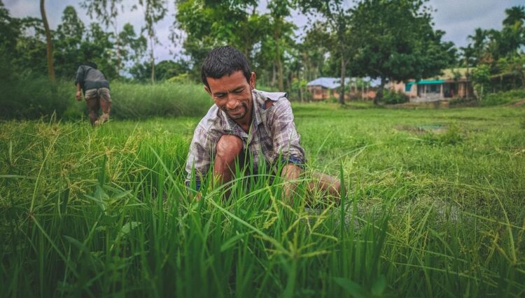 प्राकृतिक खेती पर राष्ट्रीय मिशन (एनएमएनएफ): मुख्य विशेषताएं, उद्देश्य, लाभ और वह सब कुछ जो आपको जानना आवश्यक है