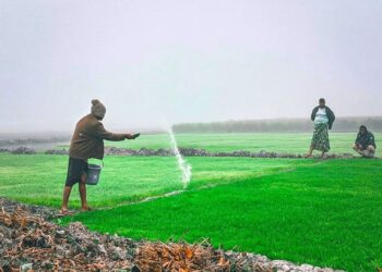 संयुक्त राष्ट्र की रिपोर्ट में पाया गया कि बढ़ते नाइट्रस ऑक्साइड उत्सर्जन से 1.5 डिग्री सेल्सियस का लक्ष्य खतरे में है, 2050 तक 20 मिलियन लोगों की मौत हो सकती है