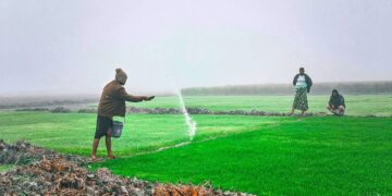 संयुक्त राष्ट्र की रिपोर्ट में पाया गया कि बढ़ते नाइट्रस ऑक्साइड उत्सर्जन से 1.5 डिग्री सेल्सियस का लक्ष्य खतरे में है, 2050 तक 20 मिलियन लोगों की मौत हो सकती है