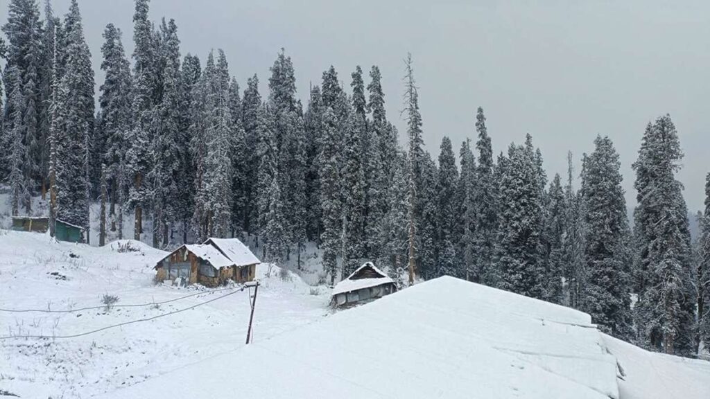 भारी बर्फबारी के बीच कश्मीर विश्वविद्यालय ने कल होने वाली परीक्षाएं स्थगित कर दीं