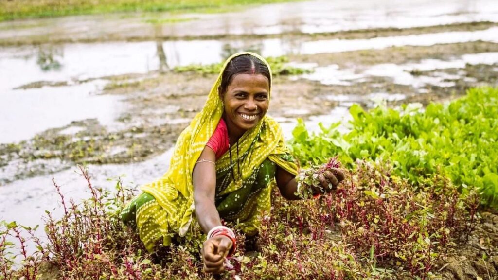 राष्ट्रीय किसान दिवस: समृद्ध कल के लिए भारतीय किसानों को सशक्त बनाना