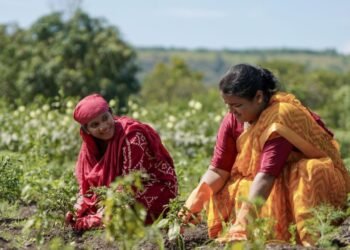 कैसे लिंग-समावेशी एग्रीटेक महिला किसानों को सशक्त बना रहा है