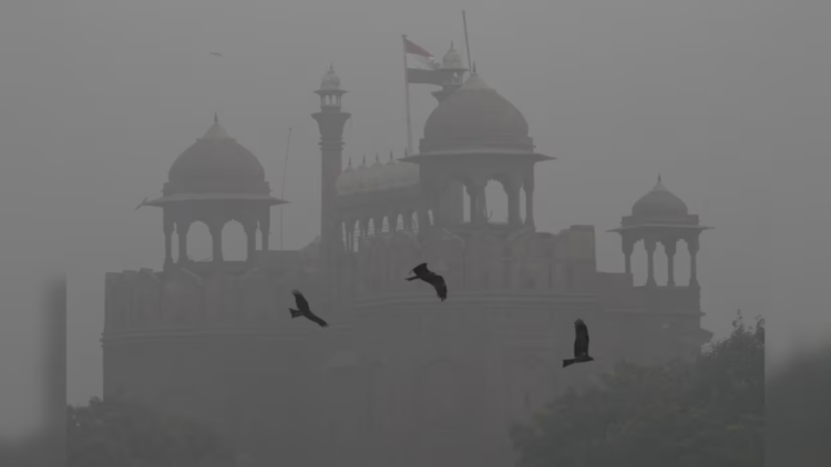 दिल्ली-एनसीआर में शीत लहर: तापमान 4.5 डिग्री सेल्सियस तक गिरा, AQI 'बहुत खराब' स्तर पर पहुंचा